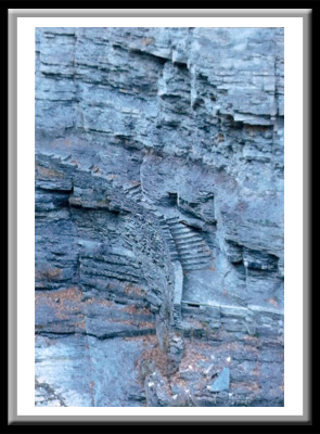 Treman State Park Stairs